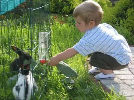 Brollerhof Neustift im Stubaital